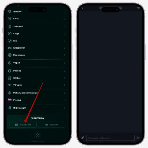 Обращение в саппорт